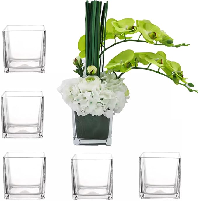 Square Glass Vases