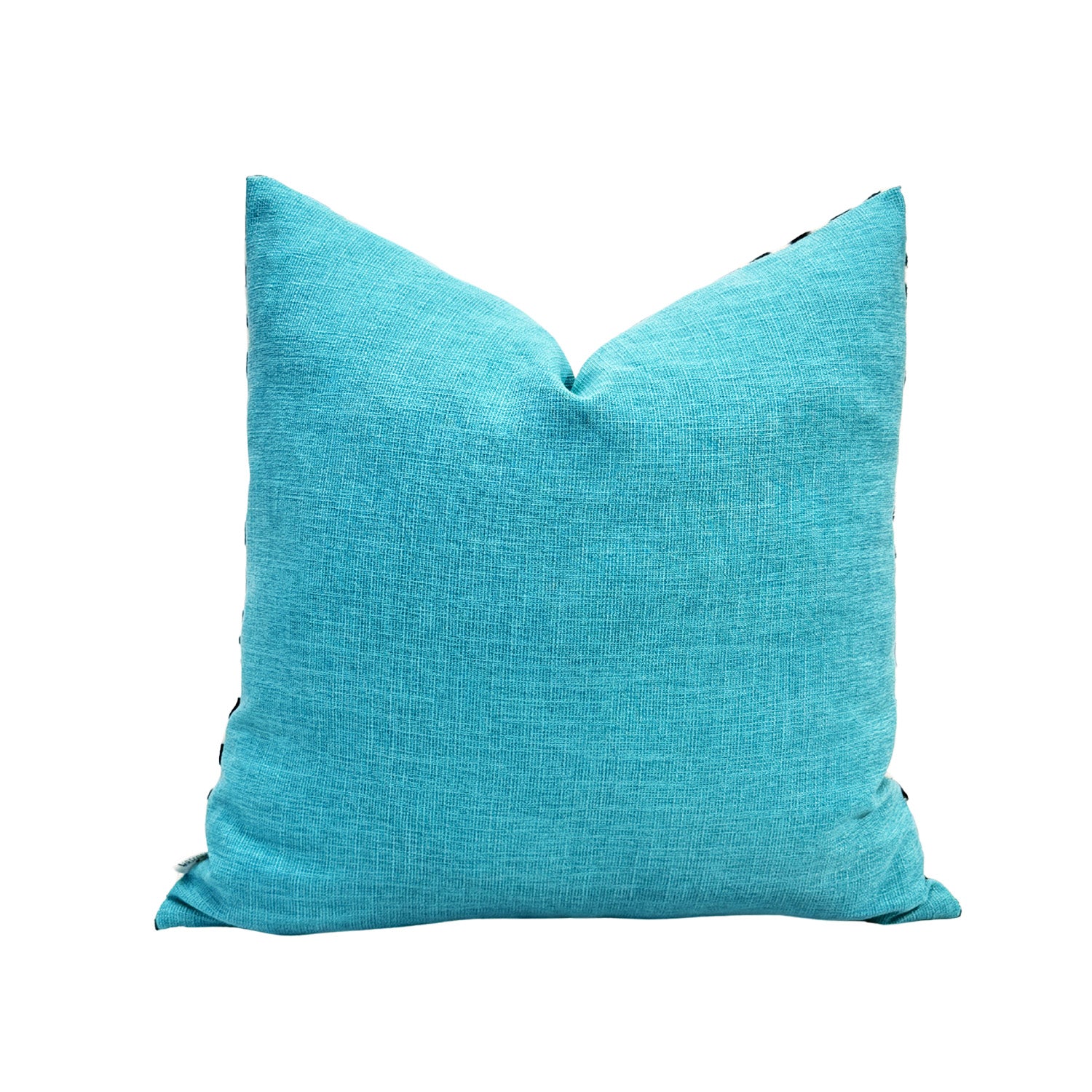 Zebra Pop Aqua Throw Pillow