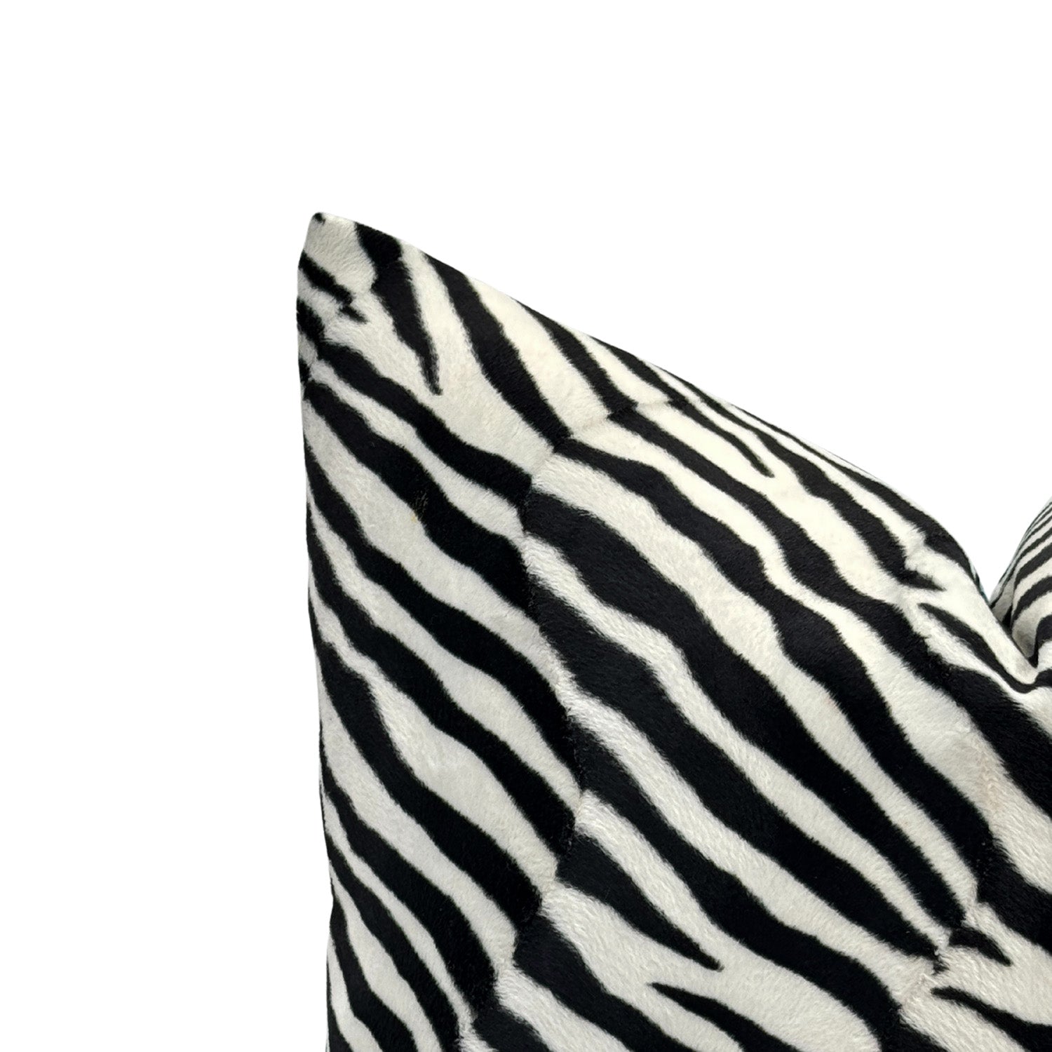 Zebra Pop Aqua Throw Pillow
